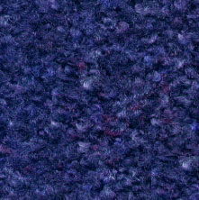 blue carpet mat